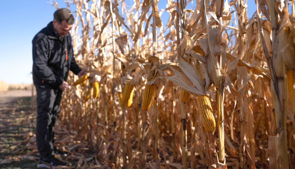 fotos-landing-page-tienda-supra-9-1-25_1920x1100-2