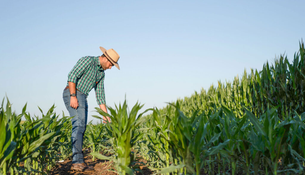 fotos-landing-page-tienda-supra-9-1-25_1920x1100-6